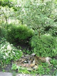 Баня на дровах «В гостях у бабушки» відгуки, лазня/сауна Киев Днепровский район 18-я Садовая улица, фото, адреса з картою проїзду.