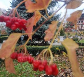 Сауни готельного комплексу «Червона Калина» на Дніпрі відгуки, лазня/сауна Київ Деснянський район Проспект Романа Шухевича 7, Парк Муромець (Північний міст), фото, адреса з картою проїзду.
