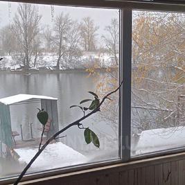 Сауна, лазня Баня на дровах «Лагуна» у воды, Киев відгуки, фото, адреса - sauny.kiev.ua Баня на дровах «Лагуна» у воды відгуки, лазня/сауна Киев Оболонский район Улица Приречная, 32, фото, адреса з картою проїзду.
