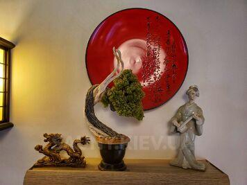 Баня на дровах на Черкаській відгуки, лазня/сауна Київ Шевченківський район вул. Черкаська, 12, фото, адреса з картою проїзду.