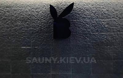 Сауна, лазня SpaBanny, Киев відгуки, фото, адреса - sauny.kiev.ua SpaBanny відгуки, лазня/сауна Киев Шевченковский район ул. Костельная, 7, фото, адреса з картою проїзду.