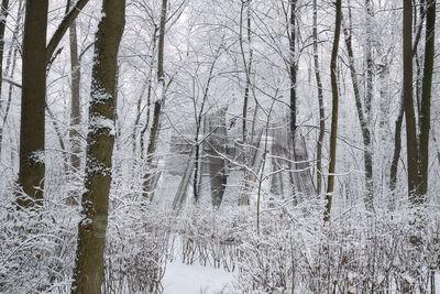 Namety Park відгуки, лазня/сауна Киев Голосеевский район проспект Глушкова, 1 (ВДНХ), фото, адреса з картою проїзду.