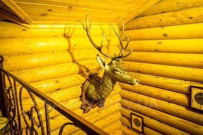 Сауна, лазня Банний комплекс «ЕкоБаня», Київ відгуки, фото, адреса - sauny.kiev.ua Банний комплекс «ЕкоБаня» відгуки, лазня/сауна Київ Оболонський район вул. Прирічна, фото, адреса з картою проїзду.