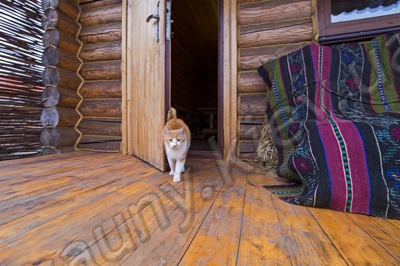 Баня с Котом відгуки, лазня/сауна Киев Деснянский район село Троещина, ул. Справедливости, 19, фото, адреса з картою проїзду.
