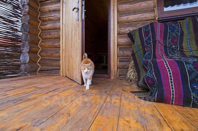 Баня с Котом відгуки, лазня/сауна Киев Деснянский район село Троещина, ул. Справедливости, 19, фото, адреса з картою проїзду.