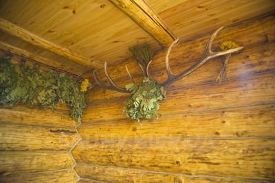 Баня с Котом відгуки, лазня/сауна Киев Деснянский район село Троещина, ул. Справедливости, 19, фото, адреса з картою проїзду.