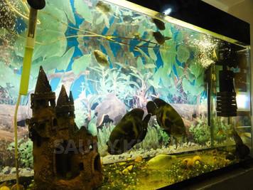 Сауна «Диаф» на Закревского відгуки, лазня/сауна Киев Деснянский район ул. Закревского, 51/2, фото, адреса з картою проїзду.